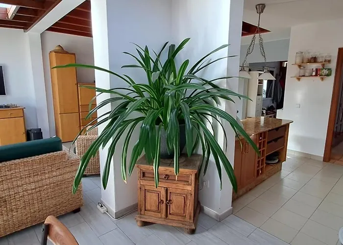 Hacha Grande 펜션 *